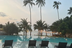 旅客