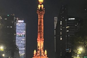 旅行者の写真