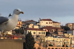 Από ταξιδιώτες
