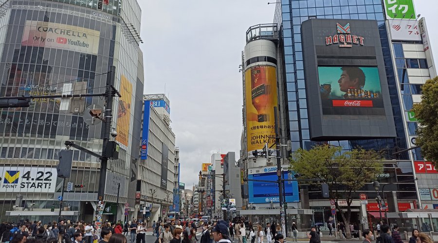 Shibuya Crossing