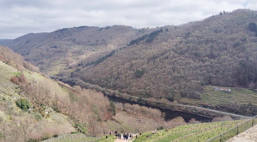 Visita Heroica:  Recorre el viñedo con nosotros para entender la viticultura heroica. Finaliza con una merecida degustación de 3 vinos en la bodega. reservas@viaromana.es Vía Romana Adegas e Viñedos. Ribeira Sacra do Miño. 