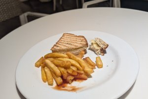 Viajante