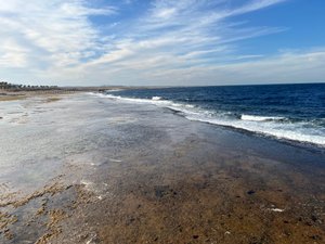 Basseng og strand