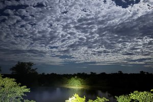 Seyahat Eden