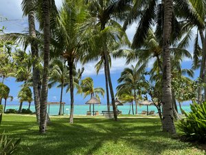 Pool & Beach