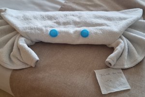 الغرفة والجناح