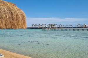 حمام السباحة والشاطئ