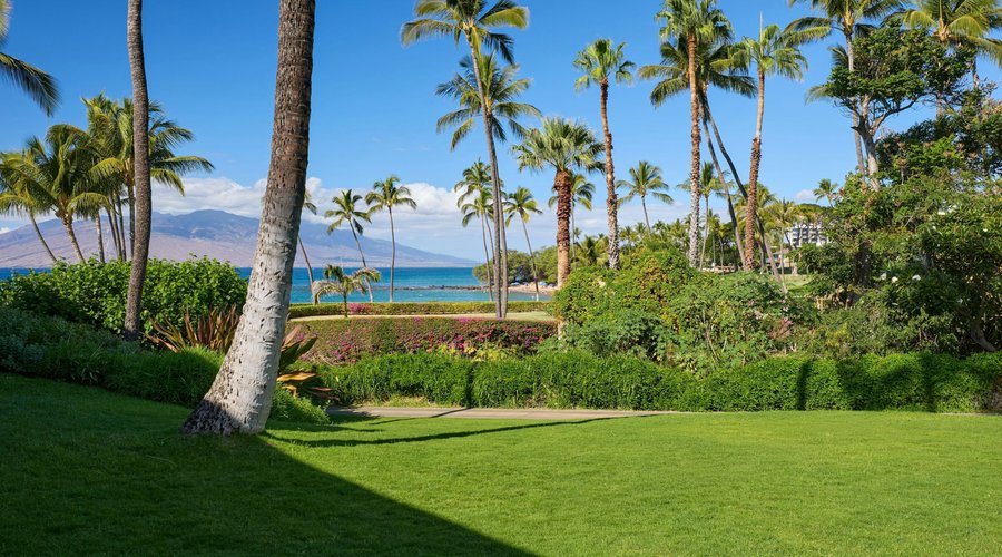 Lush green meets cool blues.