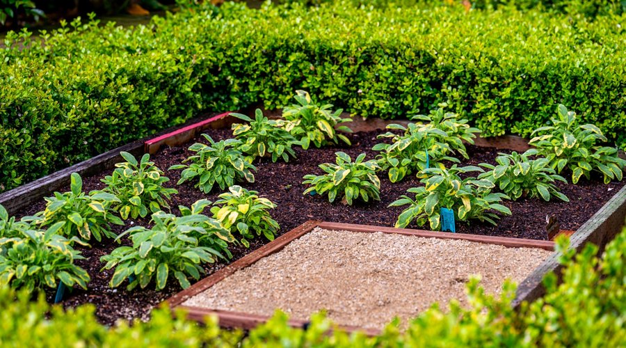 Chef’s Herb Garden