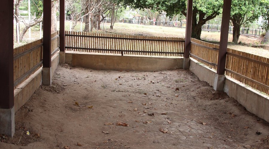The mass grave of 450 victims