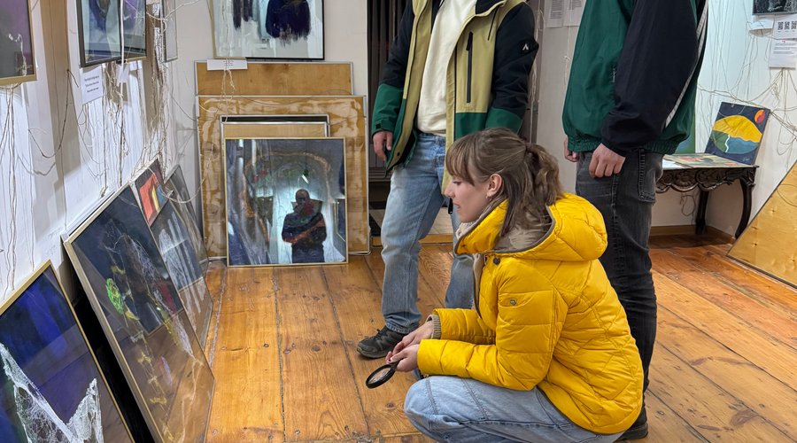 Artworks of art from real cobwebs   Музей-галерея произведений искусства из паутины  Արվեստի գործեր բնական սարդոստայնից 