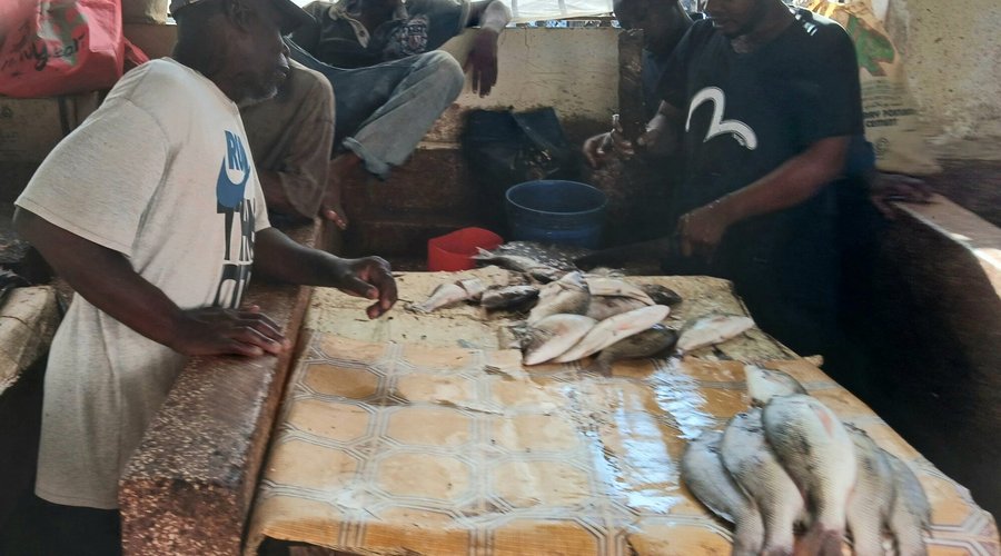 mercato del pesce
