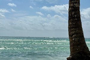 Pool & Beach