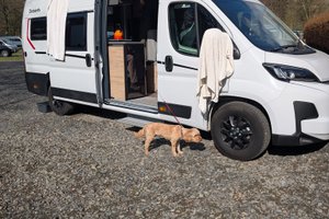 Traveller