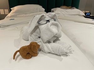 Room & Suite