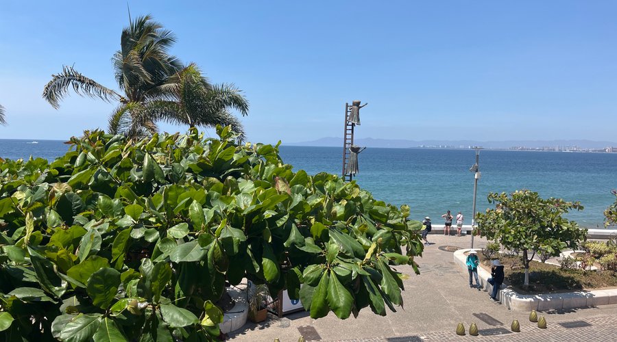 Here’s a snippet of the panoramic view from our table