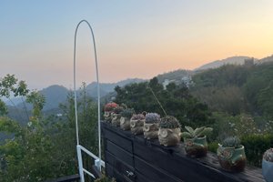 旅客