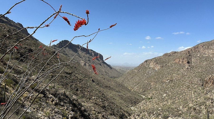 Sabino Canyon Recreation Area