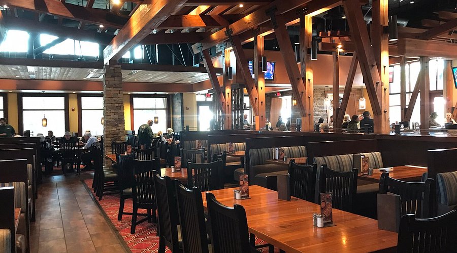 Lazy Dog Restaurant & Bar