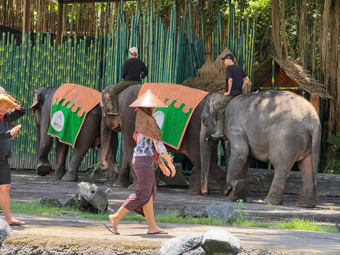 Bali Zoo