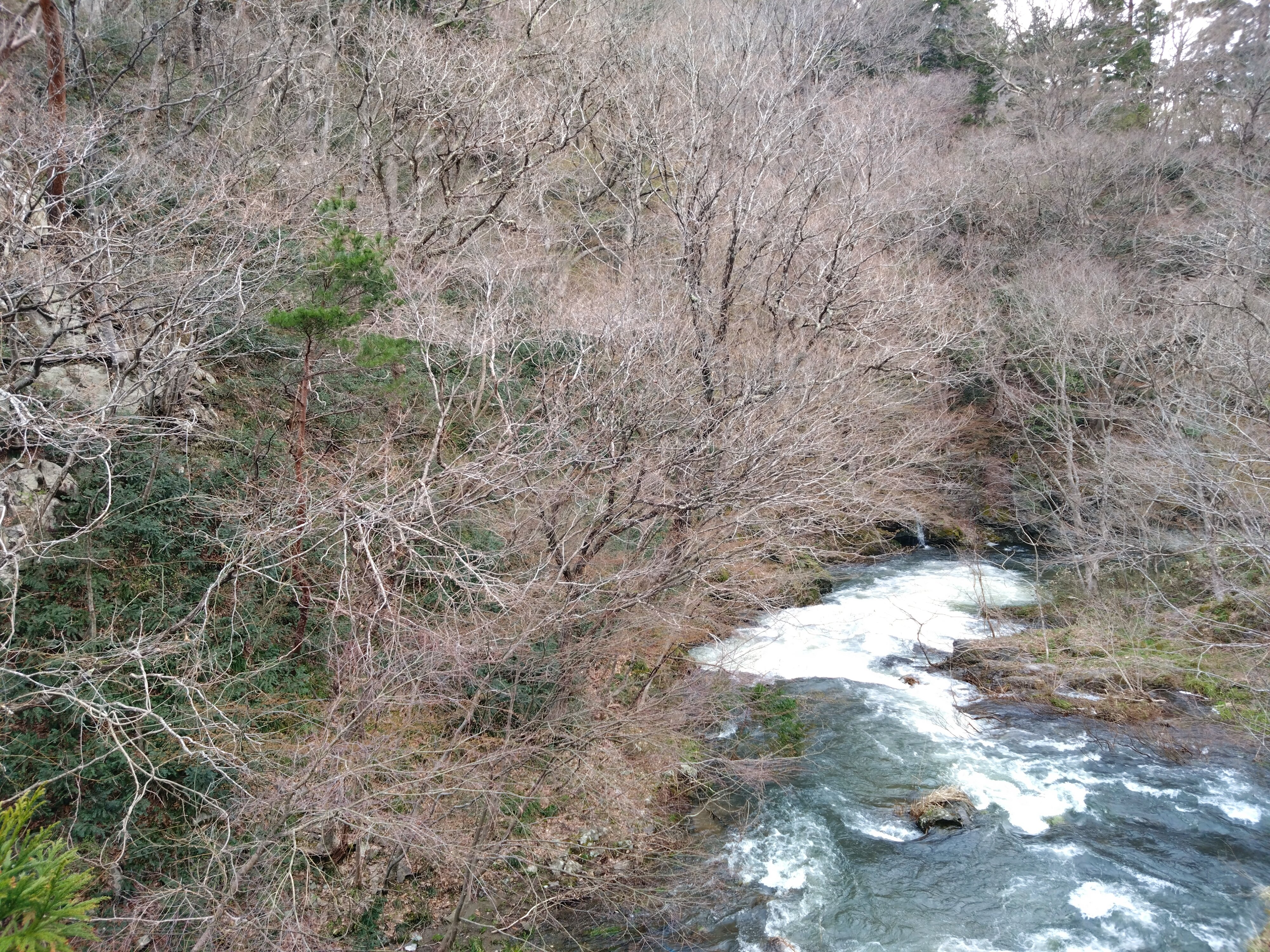 Higashiyama Onsen (2025) - All You Need to Know BEFORE You
