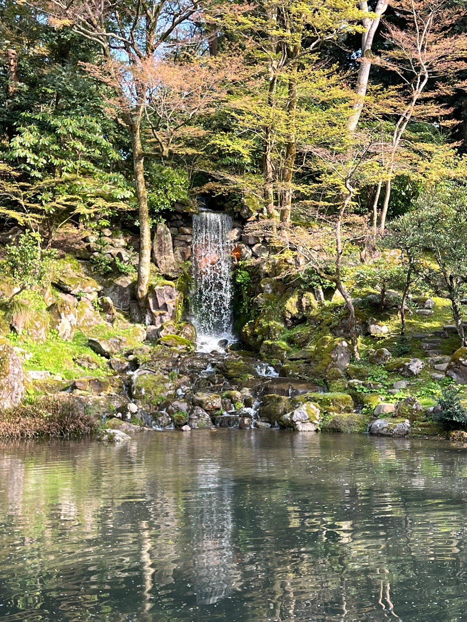 2025年 兼六園 - 出発前に知っておくべきことすべて - トリップ 2025年 兼六園 - 出発前に知っておくべきことすべて - トリップ