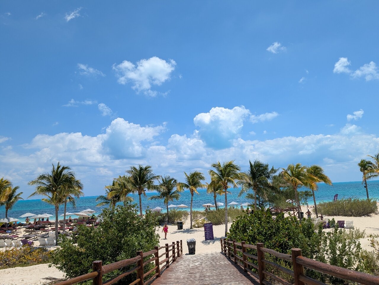 PLANET HOLLYWOOD CANCUN, AN AUTOGRAPH COLLECTION ALL