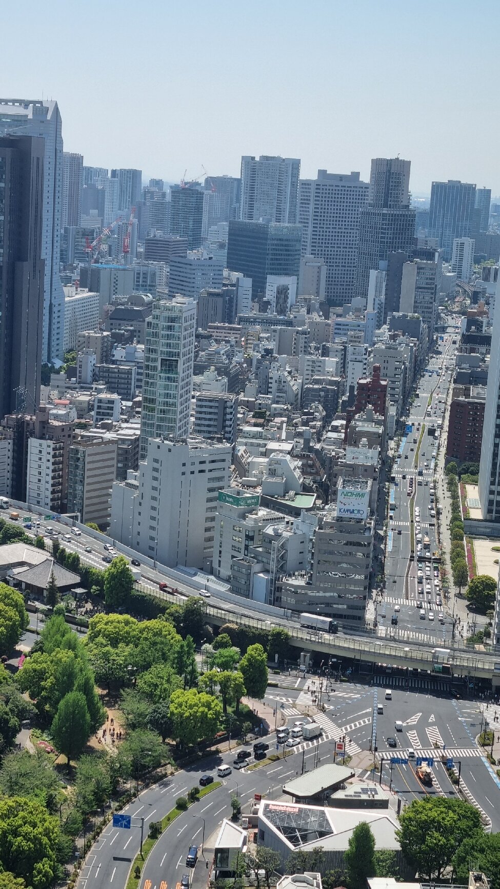 Tokyo Tower (2025) - All You Need to Know BEFORE You Go