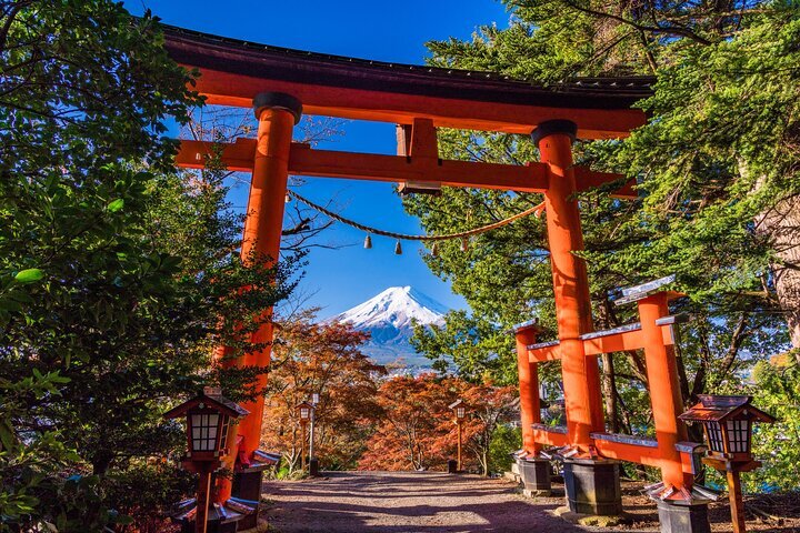 Matsudayama Herb Garden Details / Explore| Japan Travel by
