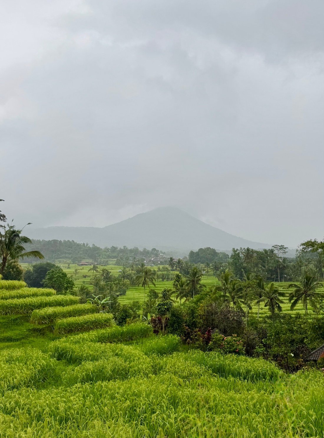 Ancient irrigation channels flowing through rice terraces