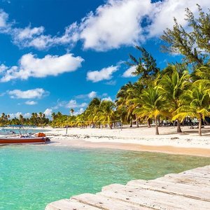 Saona Island Full-Day Cruise, Natural Pool and Lunch