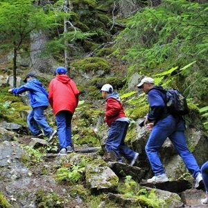 Wild Adventure Yukon Tour into Canada + White Pass Summit