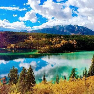 Wild Adventure Yukon Tour into Canada + White Pass Summit