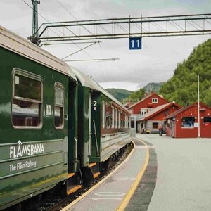 Guided tour - Viking Village, Nærøyfjord Cruise and Flåm Railway 