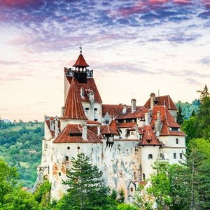 Bran Castle, Peles Castle and Brasov City - Private Tour from Bucharest 