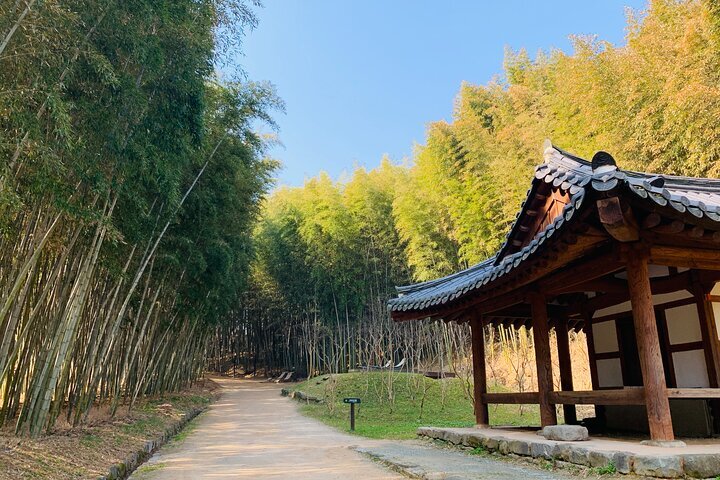 Gaudo Zip Trek (Gangjin-gun, South Korea): Address, Phone