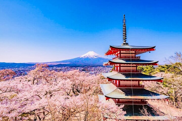 2025年 古典版画東洲斎 - 出発前に知っておくべきことすべて