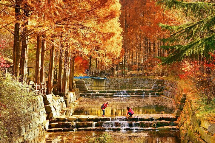 【Village 9】SEOUL ORANGE Discover N19: Hidden Urban Oasis