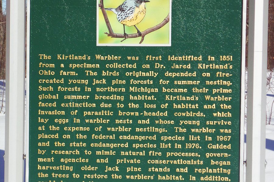 The Return of Kirtland's Warbler Historical Marker image