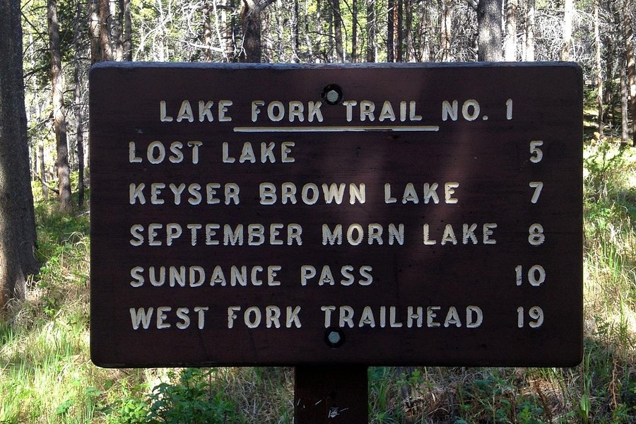 Lake Fork Trail image