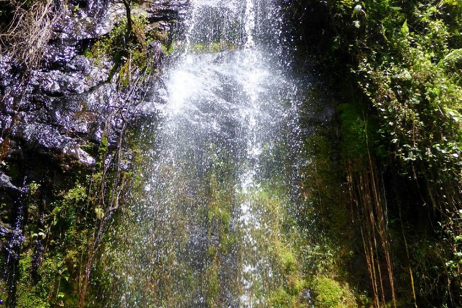 Waterfalls Inn Tigoni image