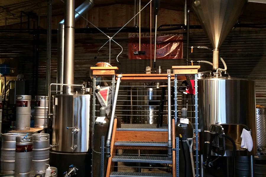 River Mile 38 Brewing Co. image