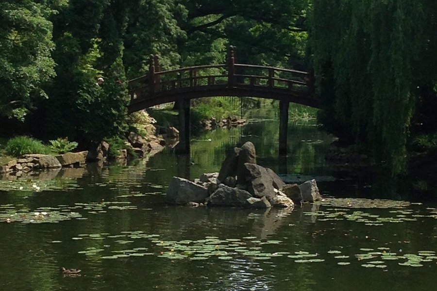 Japanese Garden - Szczytnicki Park image
