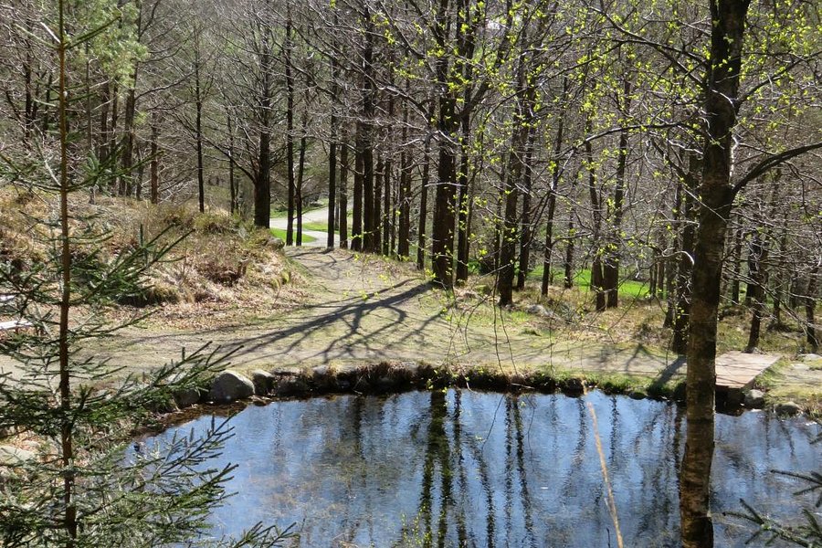 Rogaland Arboretum image