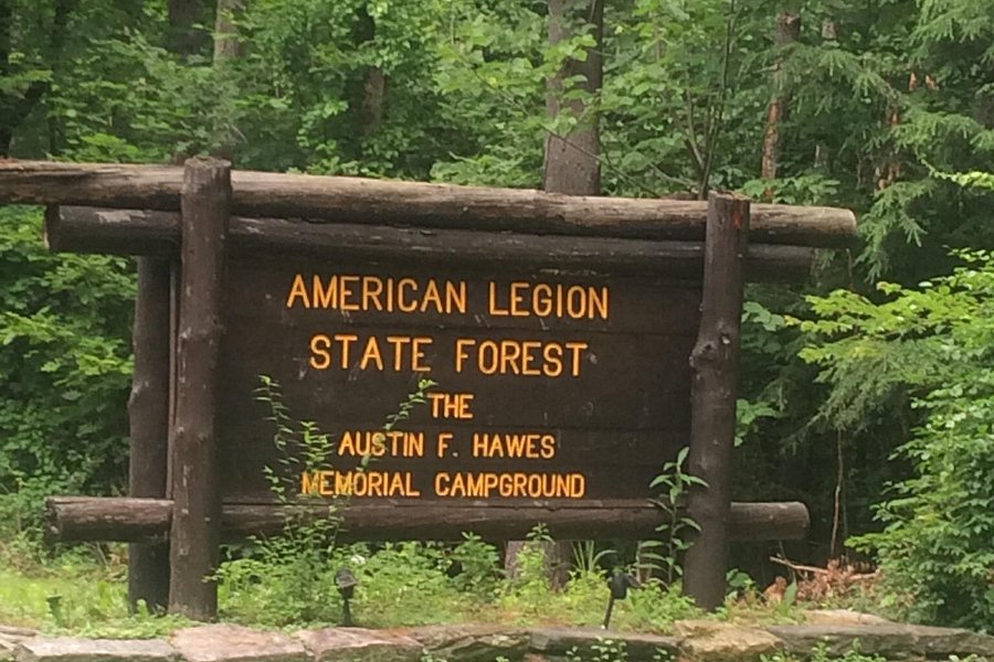 American Legion and Peoples State Forests image