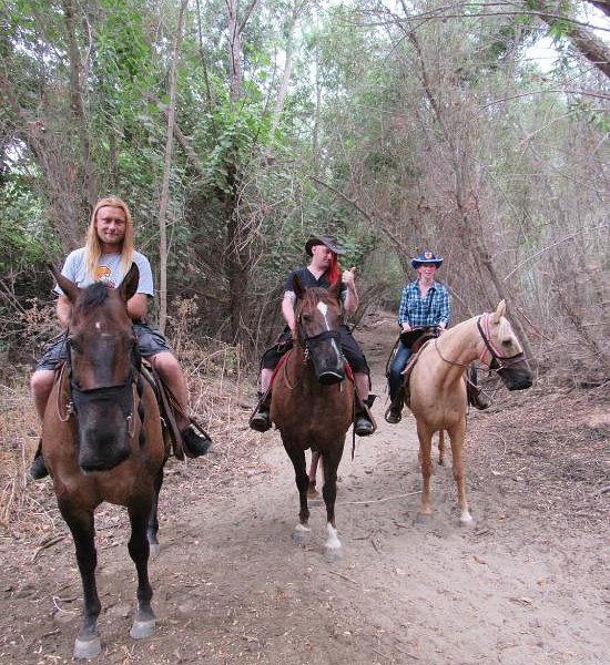 Western Trails Horseback Riding - Private Rides image