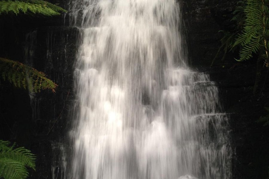 Westmorland Falls image