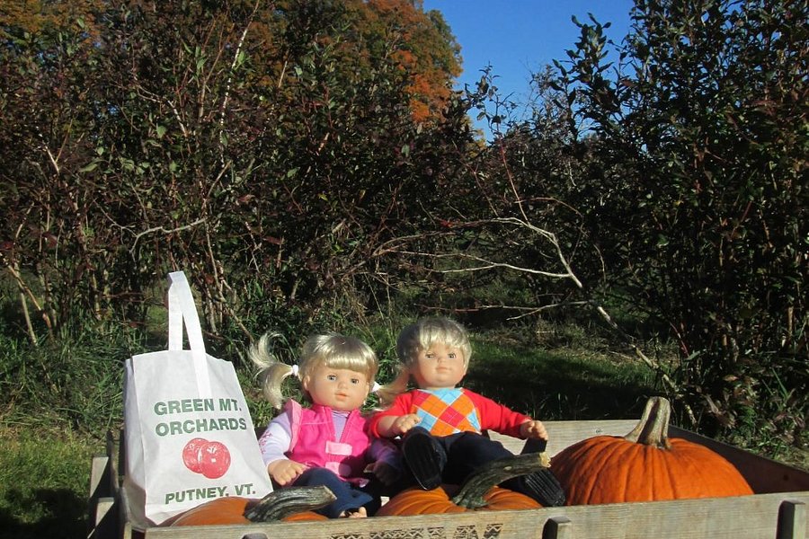 Green Mountain Orchards image