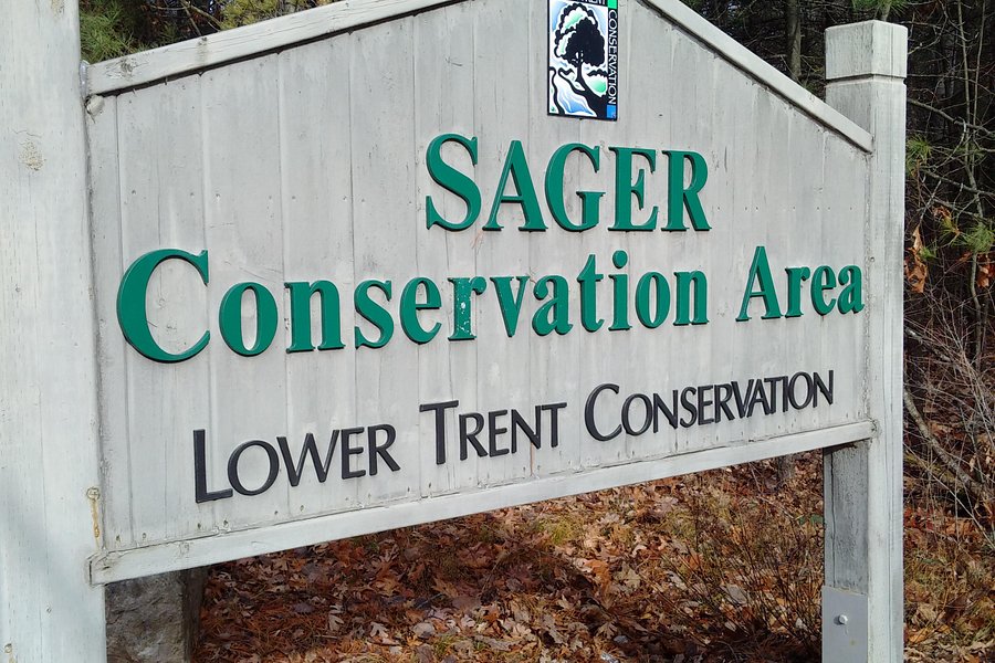 Sager Conservation Area image