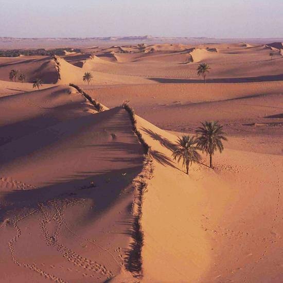 Ain Salah Sand Dune image